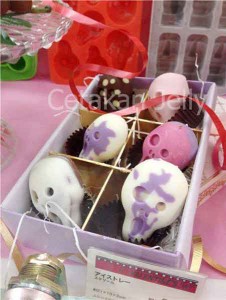 Cetakan Es Coklat Puding Scream