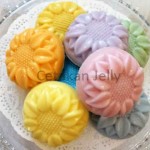 CJ Cetakan Silikon Coklat Puding Sunflower 15 cavity