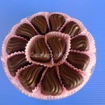 CJ Cetakan Coklat Praline Kerang Plastik