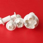 Cetakan Cookies Blossom Plunger
