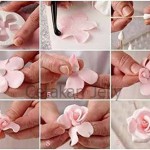 Cetakan Cookies Plum Cookie Cutter