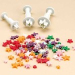 Cetakan Cookies Star Plunger