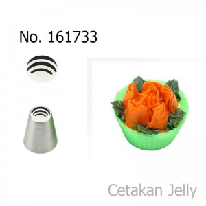 Spuit Import 161733