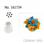 Spuit Import 161734