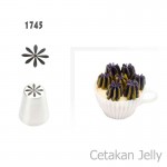 Spuit Import 161745
