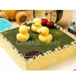 Cetakan Silikon Coklat Puding Bebek 16 cavity 3D