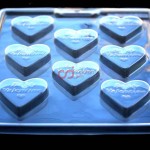 CJ Cetakan Coklat Praline Valentine Plastik