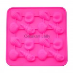 CJ Cetakan Coklat Puding Sea Shell 16 cavity Silikon