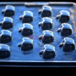 CJ Cetakan Coklat Plastik Buah Apel 14 cav