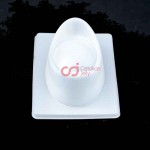 CJ Cetakan Puding Big Coin Plastik