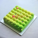 CJ Cetakan Silikon Cake Kue Bolu Puding Big Pillow