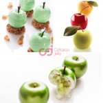 CJ Cetakan Silikon Cake Kue Bolu Puding Fruit Mousse 8 cav